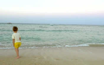 Stock Video Father Playing In The Waves With His Son For PC