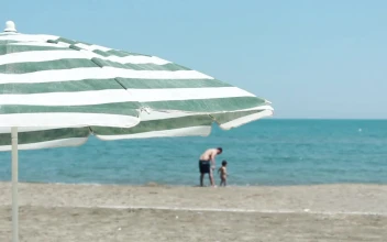 Stock Video Father And Son In The Distance On The Seashore For PC