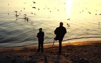 Stock Video Father And Son Feeding Seagulls On The Shore Of A For PC