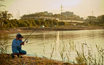 Stock Video Father And His Son Fishing On The Shore Of A For PC