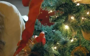 Stock Video Father And Mother Decorating A Christmas Tree For PC