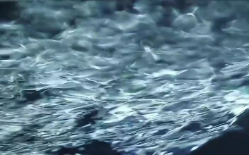 Stock Video Fast Moving Liquid From Below For PC