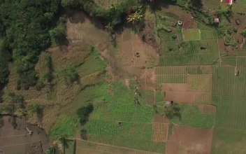 Stock Video Farmlands And Tiny Houses For PC