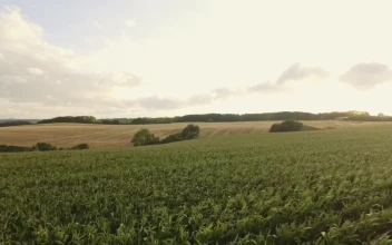Stock Video Farmland During The Summer Months For PC