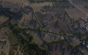 Stock Video Farm Land Seen From Above For PC