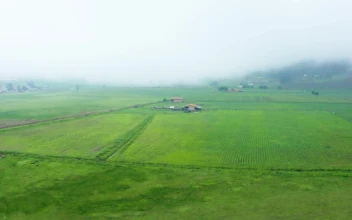 Stock Video Farm Fields In An Aerial View On A Cloudy Day For PC