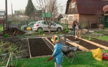 Stock Video Family Working In The Garden For PC