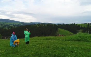 Stock Video Family Wearing Raincoats Taking Selfies In Nature For PC
