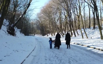 Stock Video Family Walking On A Winters Day For PC
