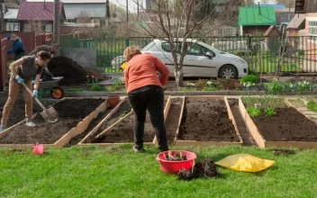Stock Video Family Taking Care Of The Garden For PC