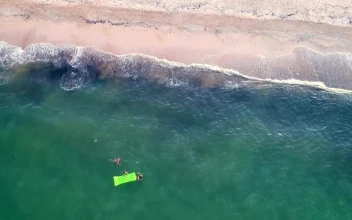 Stock Video Family Swimming In The Seashore For PC