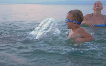 Stock Video Family Splashing In The Ocean For PC