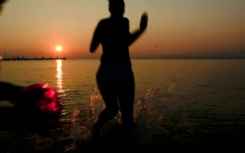 Stock Video Family Running Into The Ocean Together For PC