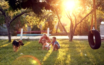 Stock Video Family Playing With A Dog In The Garden For PC
