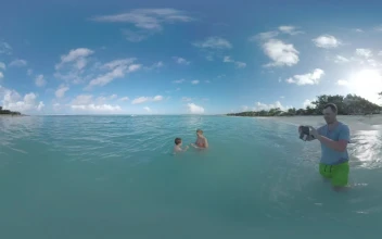 Stock Video Family In The Ocean Shown In Vr For PC