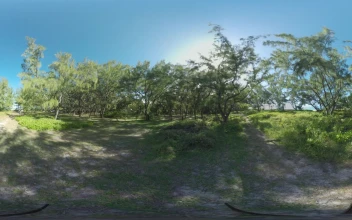 Stock Video Family Exploring The Countryside In Vr For PC
