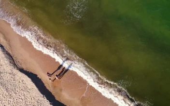 Stock Video Family Enjoying The Seashore Aerial Shot For PC