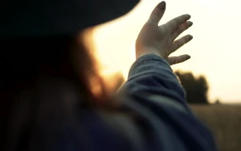 Stock Video Hand Playing With Sunbeams For PC