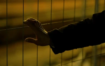Stock Video Hand On A Wire Fence By Night For PC