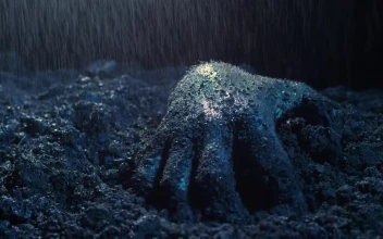 Stock Video Hand Of A Zombie Coming Out Of His Grave For PC