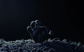 Stock Video Hand Of A Zombie Coming Out Of His Grave At For PC