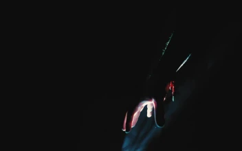 Stock Video Hand Of A Person Around A Light Source For PC