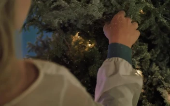 Stock Video Hand Of A Girl Touching A Snowy Christmas Tree For PC