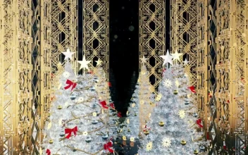 Stock Video Hallway With Christmas Trees D Animation For PC