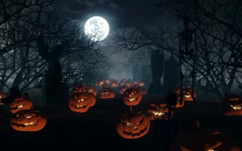 Stock Video Halloween Pumpkins Over Graveyard Graves For PC