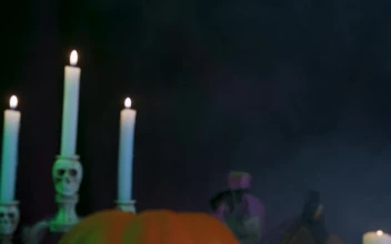 Stock Video Halloween Pumpkin Skulls Candles And Cobwebs With A Black Background For PC