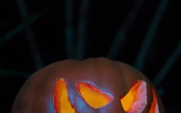 Stock Video Halloween Pumpkin On A Gloomy Night For PC
