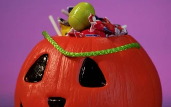 Stock Video Halloween Pumpkin Basket Full Of Candy For PC