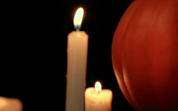 Stock Video Halloween Pumpkin And Candles At Night For PC