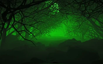 Stock Video Halloween Forest Full Of Branches And Green Mist For PC
