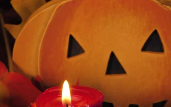Stock Video Halloween Carved Pumpkin For PC