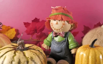 Stock Video Halloween Autumn Ornaments For PC