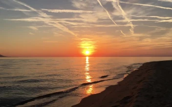 Stock Video Guy Running At The Beach During Sunset For PC