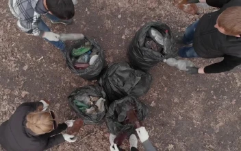 Stock Video Group Of Volunteers Recycling And Cleaning Garbage For PC