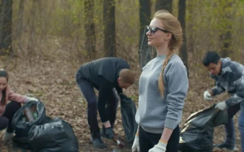 Stock Video Group Of People Collecting Garbage From The Forest For PC