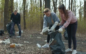 Stock Video Group Of People Collecting Garbage To Recycle For PC