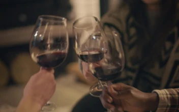 Stock Video Group Of Friends Making A Toast For PC
