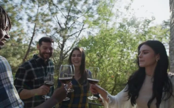 Stock Video Group Of Friends Making A Toast With Wine For PC