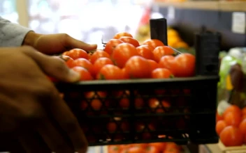 Stock Video Grocery Store Worker Carrying Food For PC