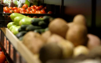 Stock Video Grocery Store Food For PC