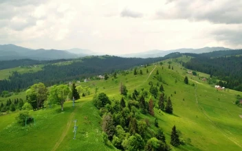 Stock Video Green Meadow In The Countryside For PC