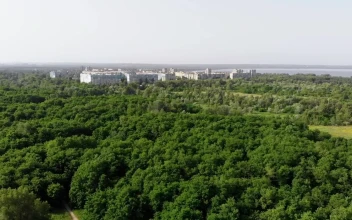 Stock Video Green Forest With A Small Town In The Background For PC