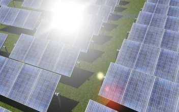 Stock Video Green Field Lined With Rows Of Solar Panels For PC