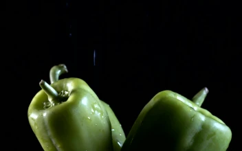 Stock Video Green Chili Peppers Being Wet On Black Background For PC