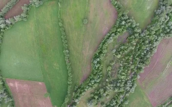 Stock Video Green Agricultural Fields By A Lake Top Aerial Shot For PC