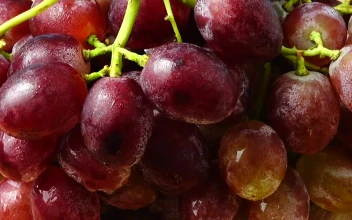 Stock Video Grapes Texture In Its Bunch For PC